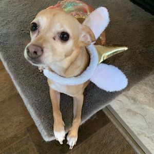 Meet your Posher, Ceth